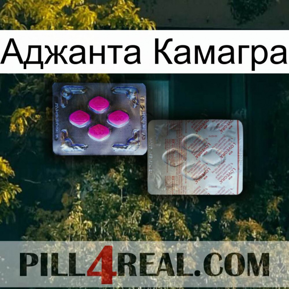 Аджанта Камагра 38.jpg